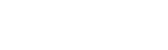 세무회계 성안